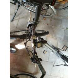 Stevens x5c, 27v, dames, 50 cm