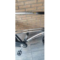 gazelle solide 70 cm frame