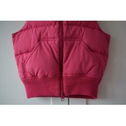 RALPH LAUREN bodywarmer maat S = 116