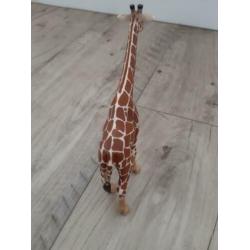 Schleich Giraffe