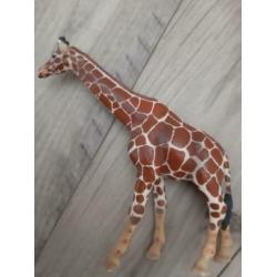 Schleich Giraffe