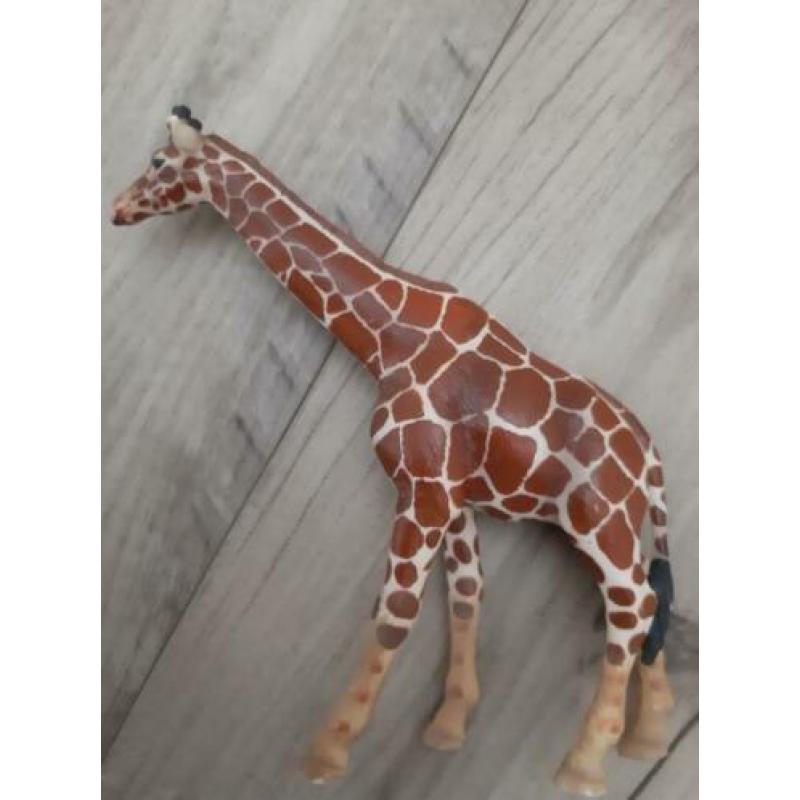 Schleich Giraffe