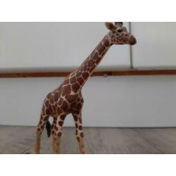 Schleich Giraffe