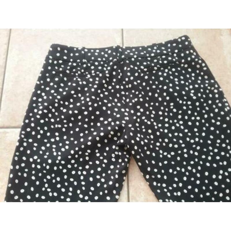 Broek maat 40 Mango zgan polkadot