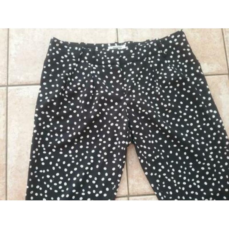 Broek maat 40 Mango zgan polkadot