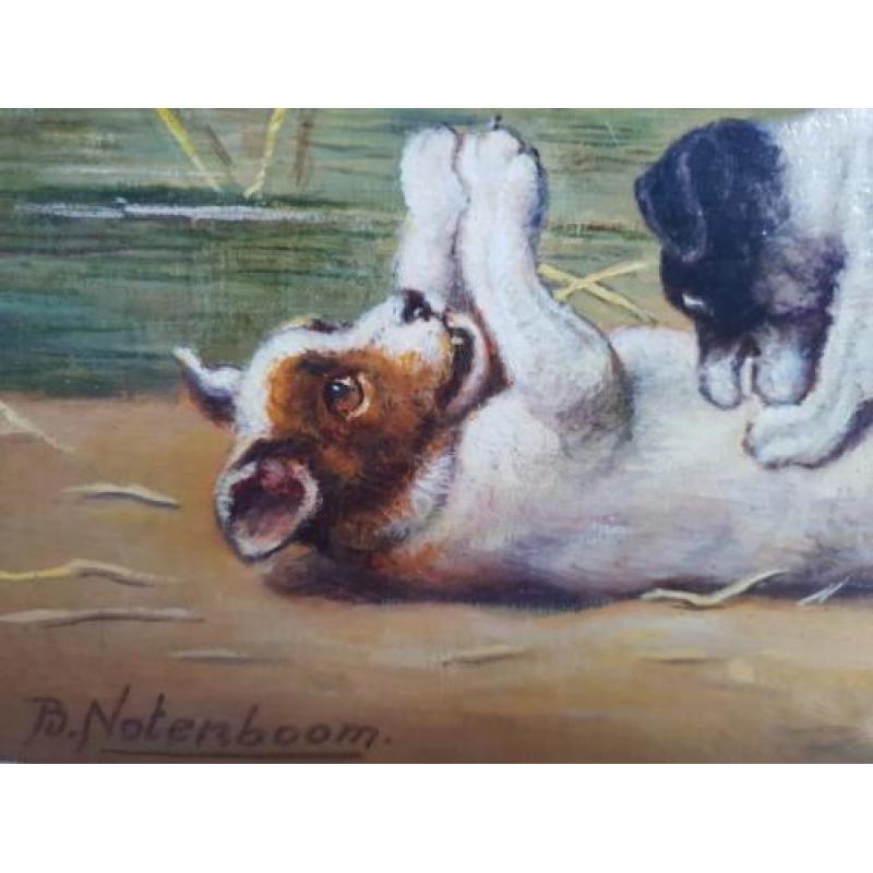 Bert Notenboom 1942 -2011 - Moederhond met haar puppy's