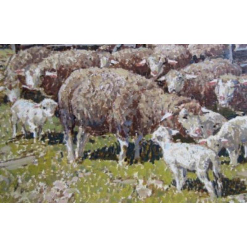 schapen bij huje ==== Peter Josef STRAHN 1904 - 1997=====