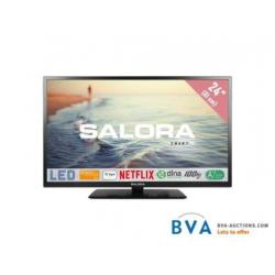 Online veiling: Salora 24HSB5002 Televisie (35536