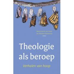 Theologie als beroep 9789043523035