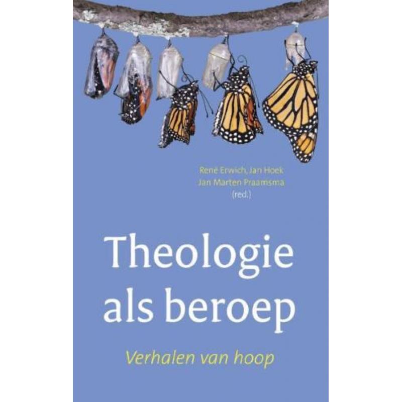 Theologie als beroep 9789043523035