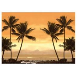 aanbieding Fotobehang 400x280cm caribbean beach voor €45