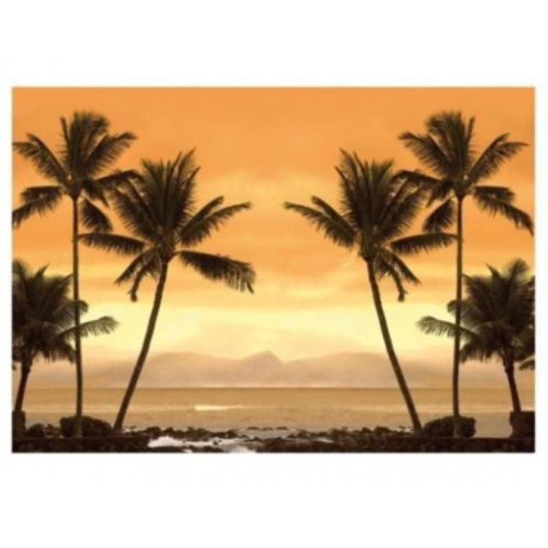 aanbieding Fotobehang 400x280cm caribbean beach voor €45