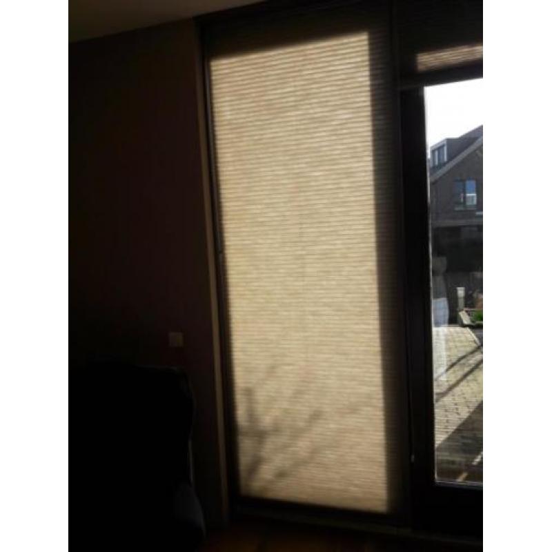 2 Luxaflex Duette shade